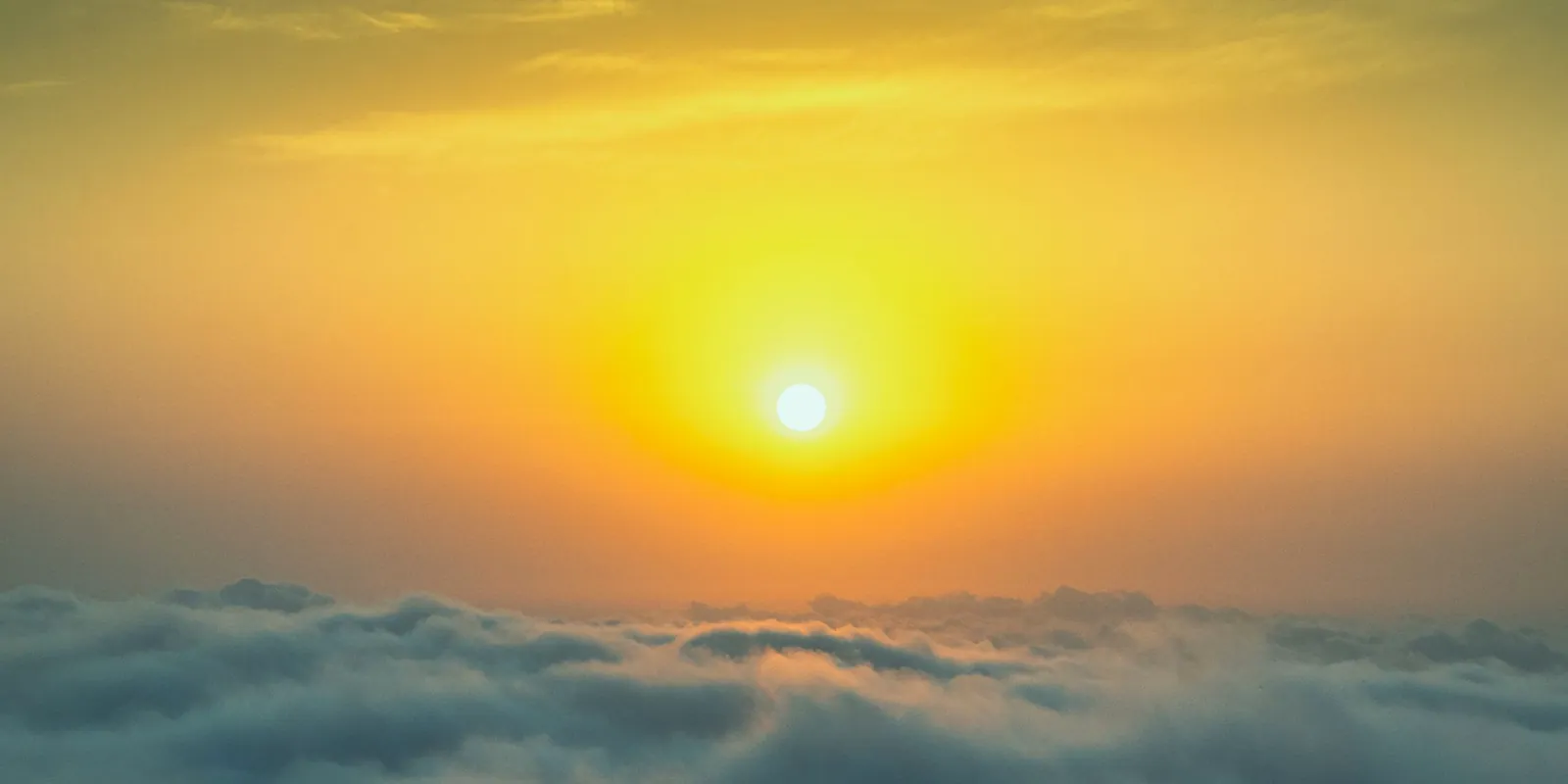 The golden sun rises above a sea of white clouds