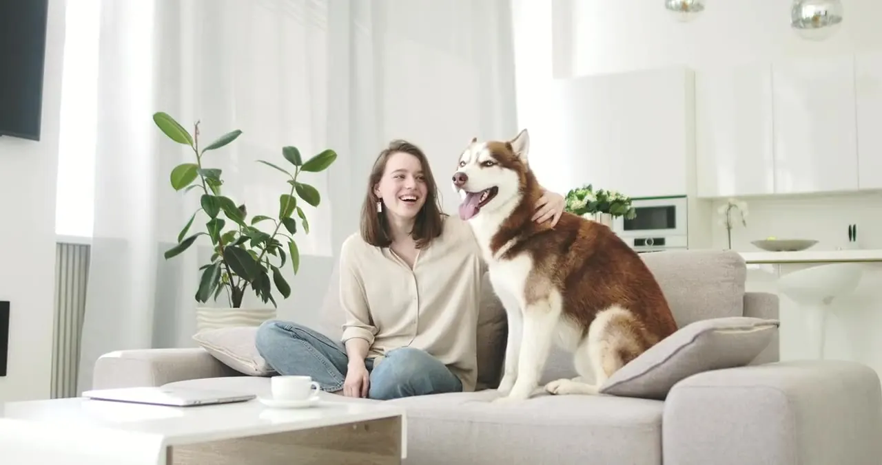 A woman laughs on a bright living-room sofa next to her husky